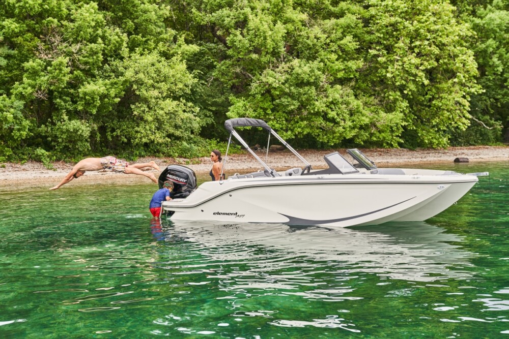 Bayliner M19