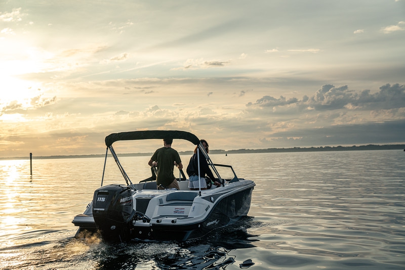 Bayliner M17