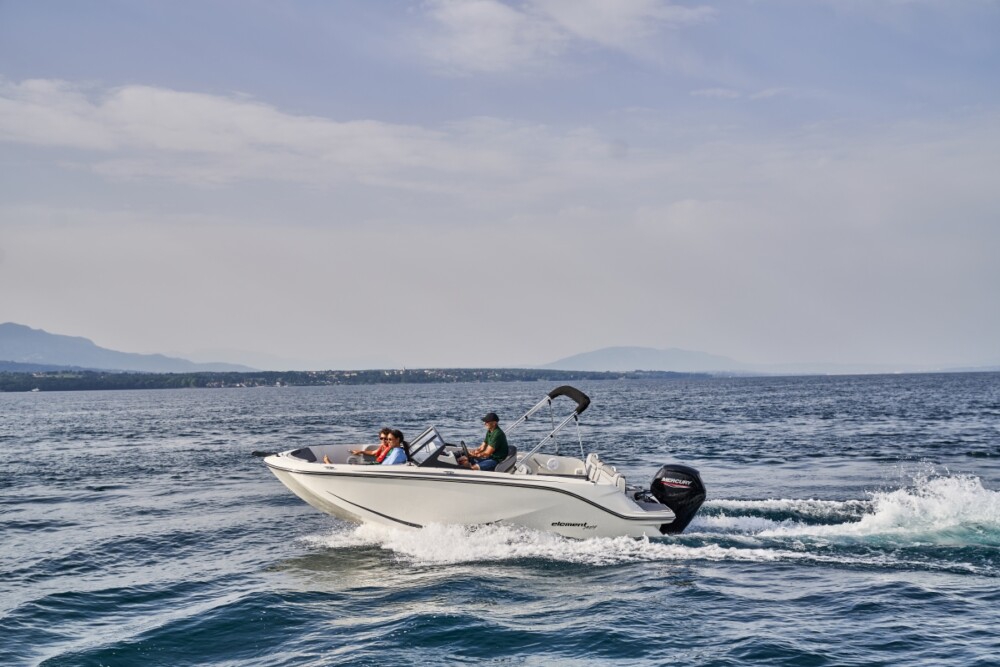 Bayliner M19