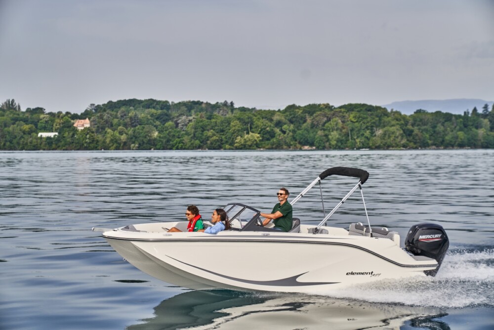 Bayliner M19