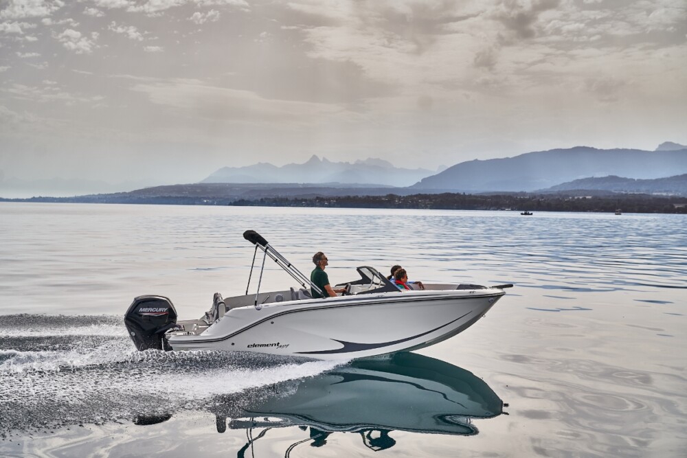 Bayliner M19