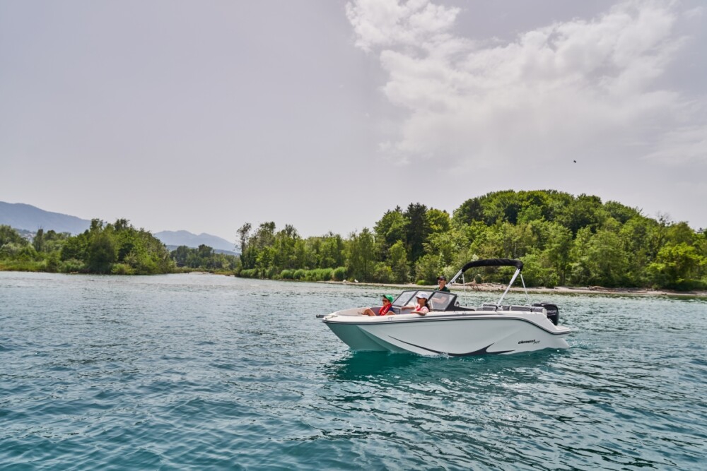 Bayliner M19