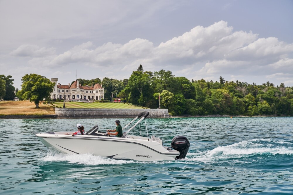 Bayliner M19