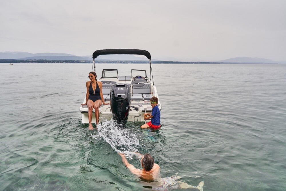 Bayliner M19