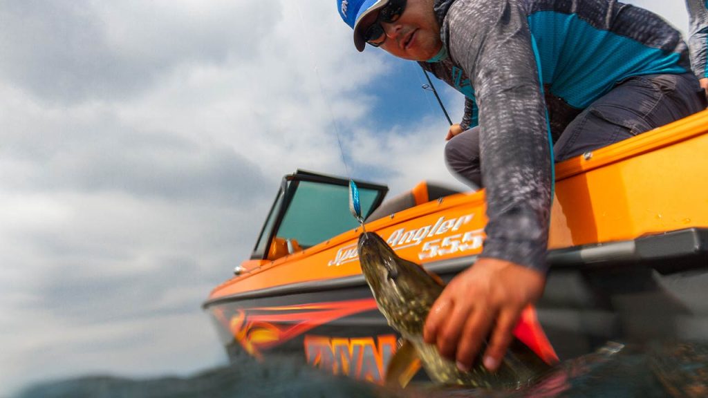 FINVAL 555 SportAngler DC