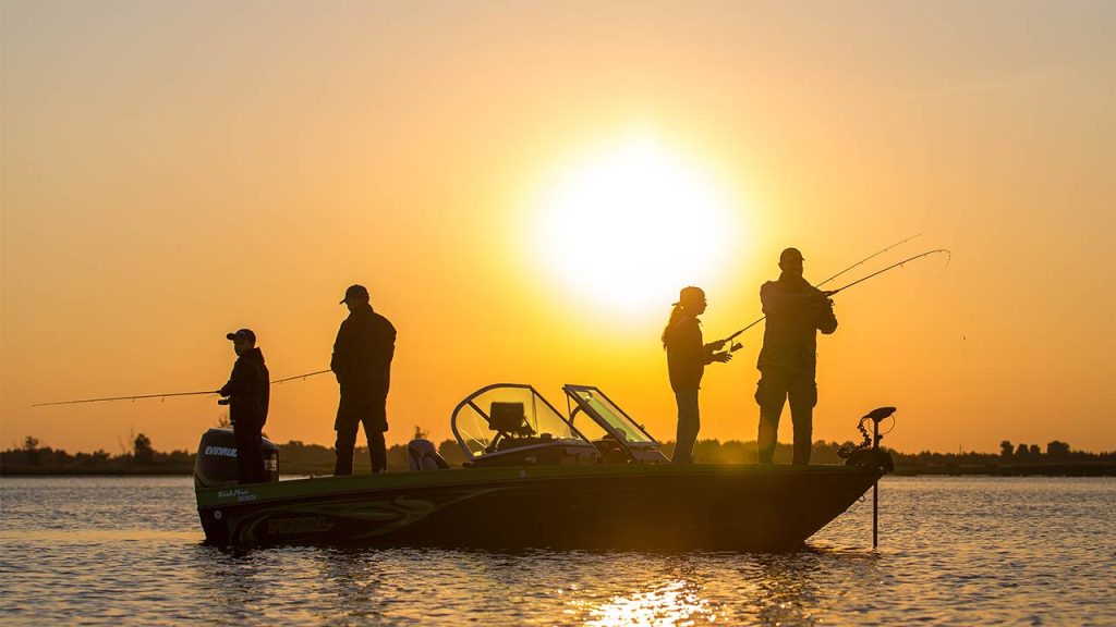 FINVAL 555 FishPro DC